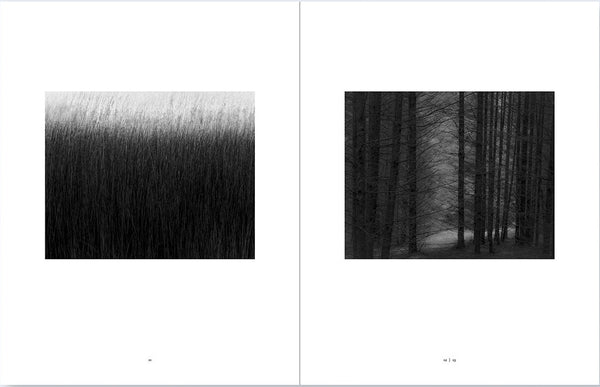The Shadow's Veil | Jeffrey Conley | Nazraeli Press 2024