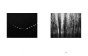 The Shadow's Veil | Jeffrey Conley | Nazraeli Press 2024