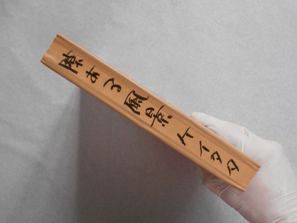 A gap in the landscape | Keita Kusaka | Keitata 2020 SIGNED w/PRINT