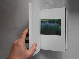 Instinto | Natsumi Ito | Shaba 2025