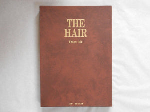The Hair part 13 (GS version) | AA.VV. | Artman Club 1993