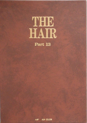 The Hair part 13 (GS version) | AA.VV. | Artman Club 1993