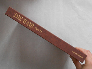 The Hair part 13 (GS version) | AA.VV. | Artman Club 1993