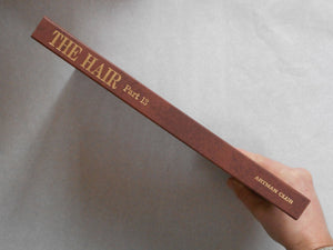 The Hair part 13 (GS version) | AA.VV. | Artman Club 1993