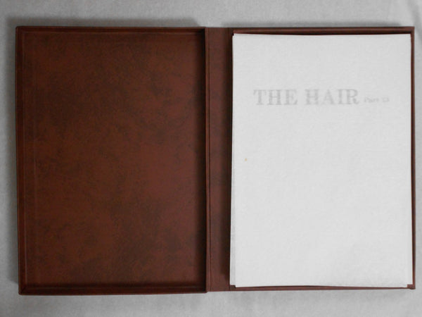 The Hair part 13 (GS version) | AA.VV. | Artman Club 1993