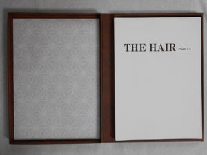 The Hair part 13 (GS version) | AA.VV. | Artman Club 1993