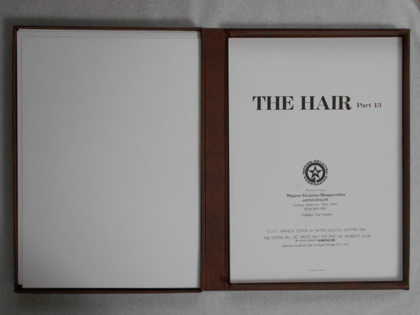 The Hair part 13 (GS version) | AA.VV. | Artman Club 1993