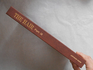 The Hair part 12 (GS version) | AA.VV. | Artman Club 1992