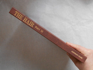 The Hair part 12 (GS version) | AA.VV. | Artman Club 1992