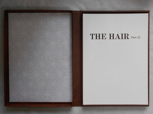 The Hair part 12 (GS version) | AA.VV. | Artman Club 1992
