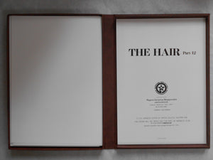 The Hair part 12 (GS version) | AA.VV. | Artman Club 1992