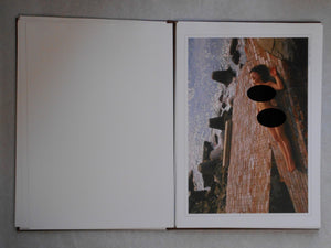 The Hair part 10 Fantasy + Passion | AA. VV. | Nippon Geijustu Shuppan 1990