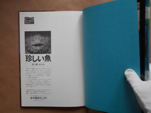Umi no Olivia | Akira Tateishi | Suichu Zokei Center 1977
