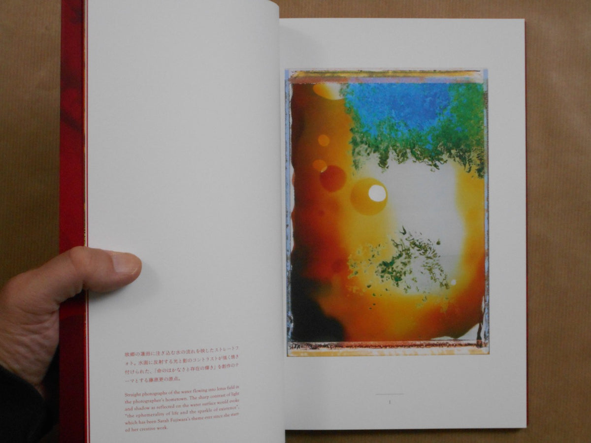 Kioku no hana | Sarah Fujiwara | Fugensha 2025 – buonaideabooks