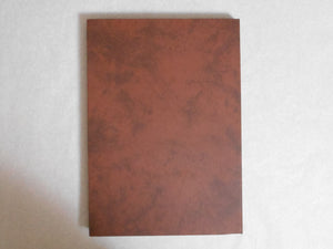 Leslie Turtle GBS, Galphy series n. 15 | Leslie Turtle | NGS 1983