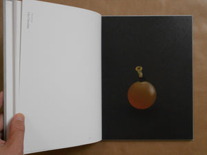 Confections by Okashimaru | Sayoko Sugiyama, Shu Fujita, Takeru Koroda | Torch press 2024
