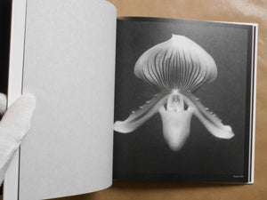 Memento Mori | Robert Mapplethorpe | Chanel Nexus Hall 2017