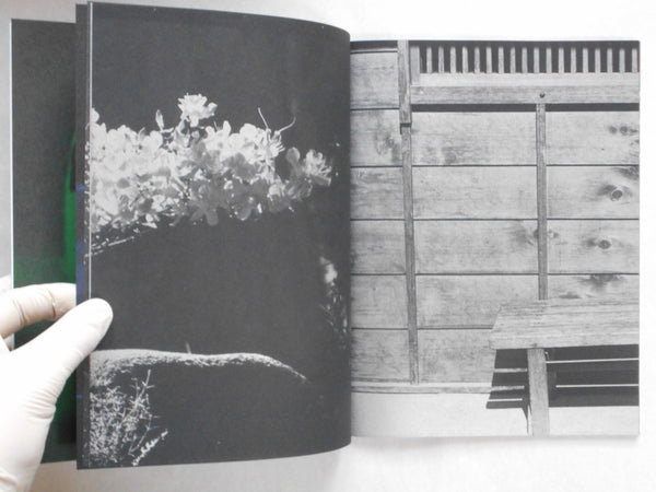 Okame | Hideoki | Ibasho Gallery & the(M) editions 2023