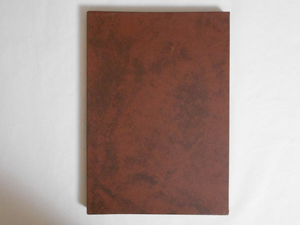 Burt Bunger GB, Galphy series n. 17 | Burt Bunger | NGS 1984