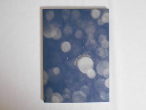Shimmers | Alison McCauley | Photo Editions 2024