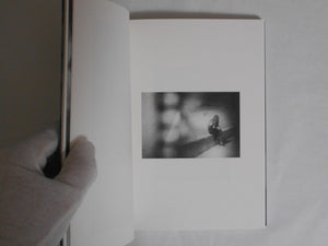 Shimmers | Alison McCauley | Photo Editions 2024