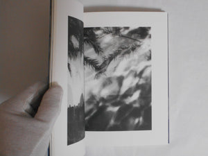 Shimmers | Alison McCauley | Photo Editions 2024