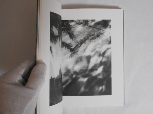 Shimmers | Alison McCauley | Photo Editions 2024