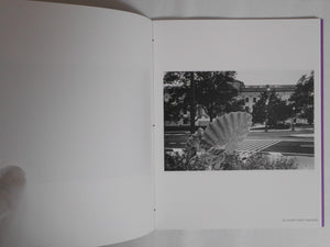 Groundworks | Mark Cohen | Superlabo 2024