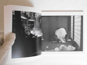 1983 (bottom) | Jun Abe | Vacuum Press 2024