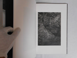 ELV | Massimo Leardini | Stanley Barker 2020