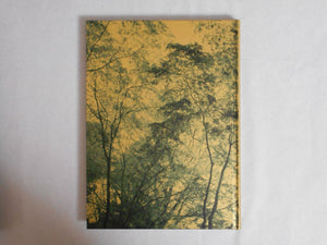 On listening to trees | Albarran Cabrera | Atelier EXB 2023
