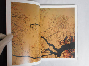 On listening to trees | Albarran Cabrera | Atelier EXB 2023