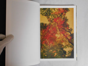 On listening to trees | Albarran Cabrera | Atelier EXB 2023