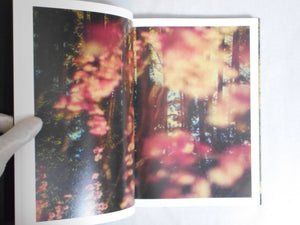 On listening to trees | Albarran Cabrera | Atelier EXB 2023