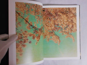 On listening to trees | Albarran Cabrera | Atelier EXB 2023