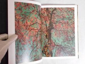 On listening to trees | Albarran Cabrera | Atelier EXB 2023