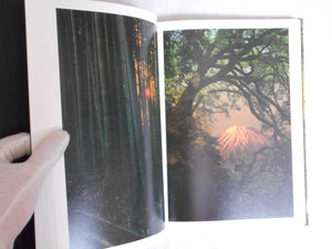 On listening to trees | Albarran Cabrera | Atelier EXB 2023