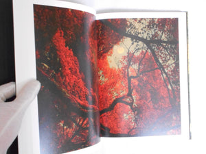 On listening to trees | Albarran Cabrera | Atelier EXB 2023