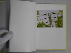 Tokyo Parrots | Yoshinori Mizutani | Amana 2014