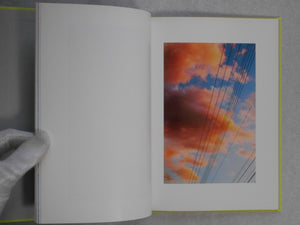 Tokyo Parrots | Yoshinori Mizutani | Amana 2014