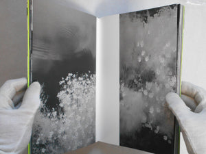 Beyond what you see | Toshiya Watanabe | the(M) Editions, Ibasho