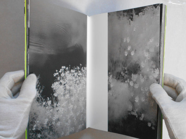 Beyond what you see | Toshiya Watanabe | the(M) Editions, Ibasho