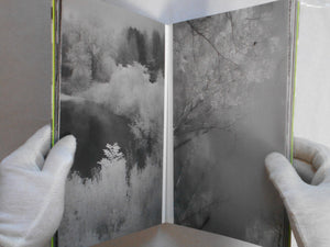 Beyond what you see | Toshiya Watanabe | the(M) Editions, Ibasho