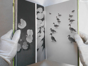 Beyond what you see | Toshiya Watanabe | the(M) Editions, Ibasho