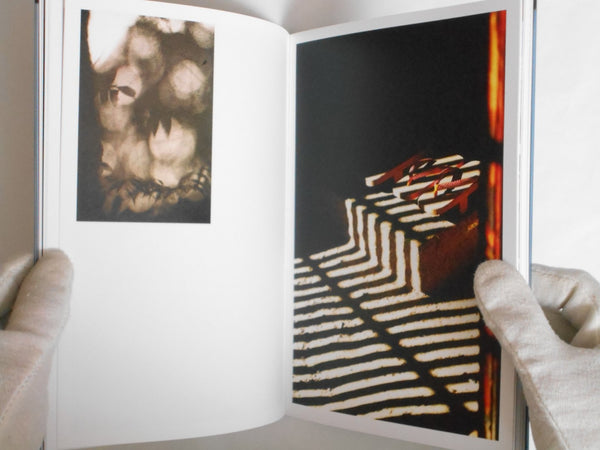Beyond Shadow | Sudi | Ibasho 2024