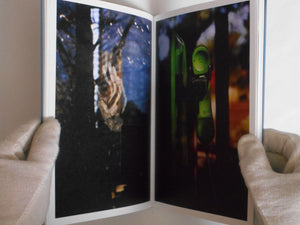 Beyond Shadow | Sudi | Ibasho 2024