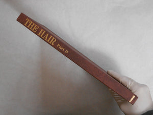 The Hair part 3 GB | AA.VV. | Nippon Geijustu Shuppan 1984