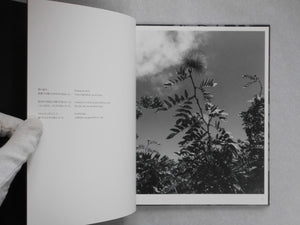 Wandering dog | Mai Nakama | GRAF Publishers 2024