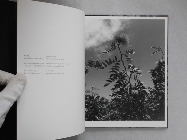 Wandering dog | Mai Nakama | GRAF Publishers 2024