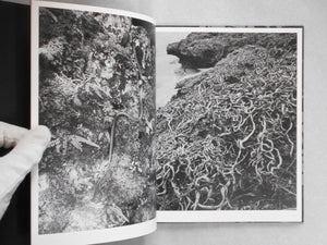 Wandering dog | Mai Nakama | GRAF Publishers 2024